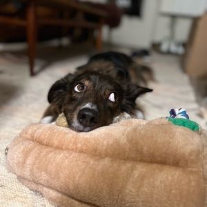 Meet your Posher, Jeremy